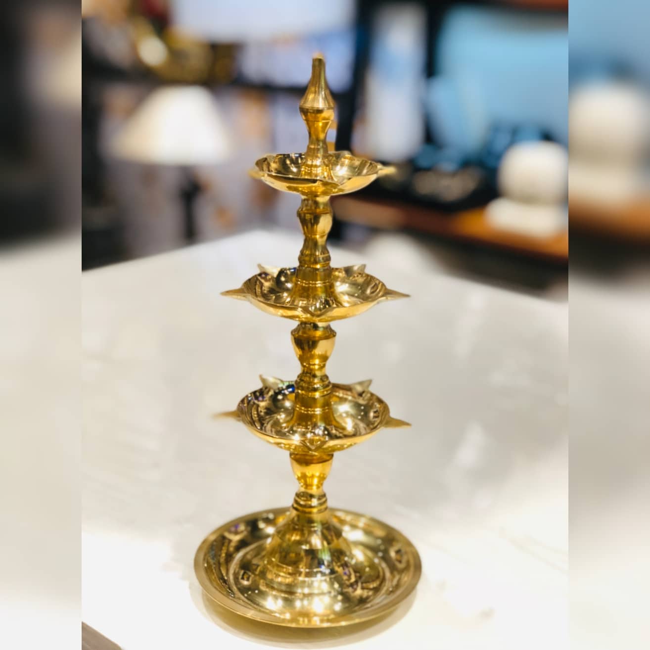 Brass Diya Dusky Lory