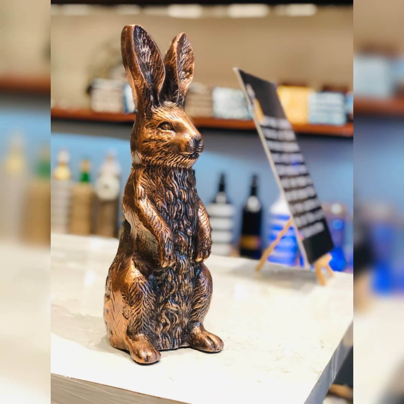Gold Rabbit | Metal Dusky Lory