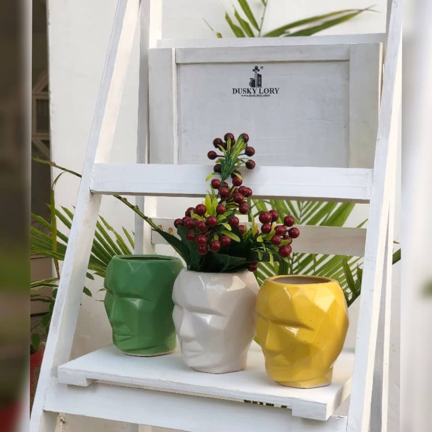 3D Face Planter | Table Planter | 14CM X 11CM Dusky Lory