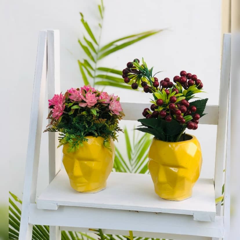 3D Face Planter | Table Planter | 14CM X 11CM Dusky Lory
