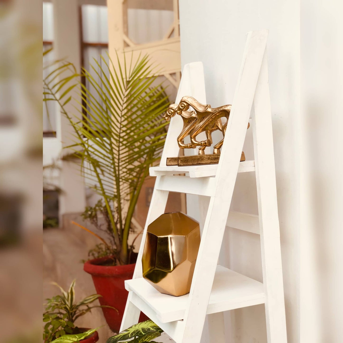 Folding Wooden Rack | Organizer | Corner Dusky Lory
