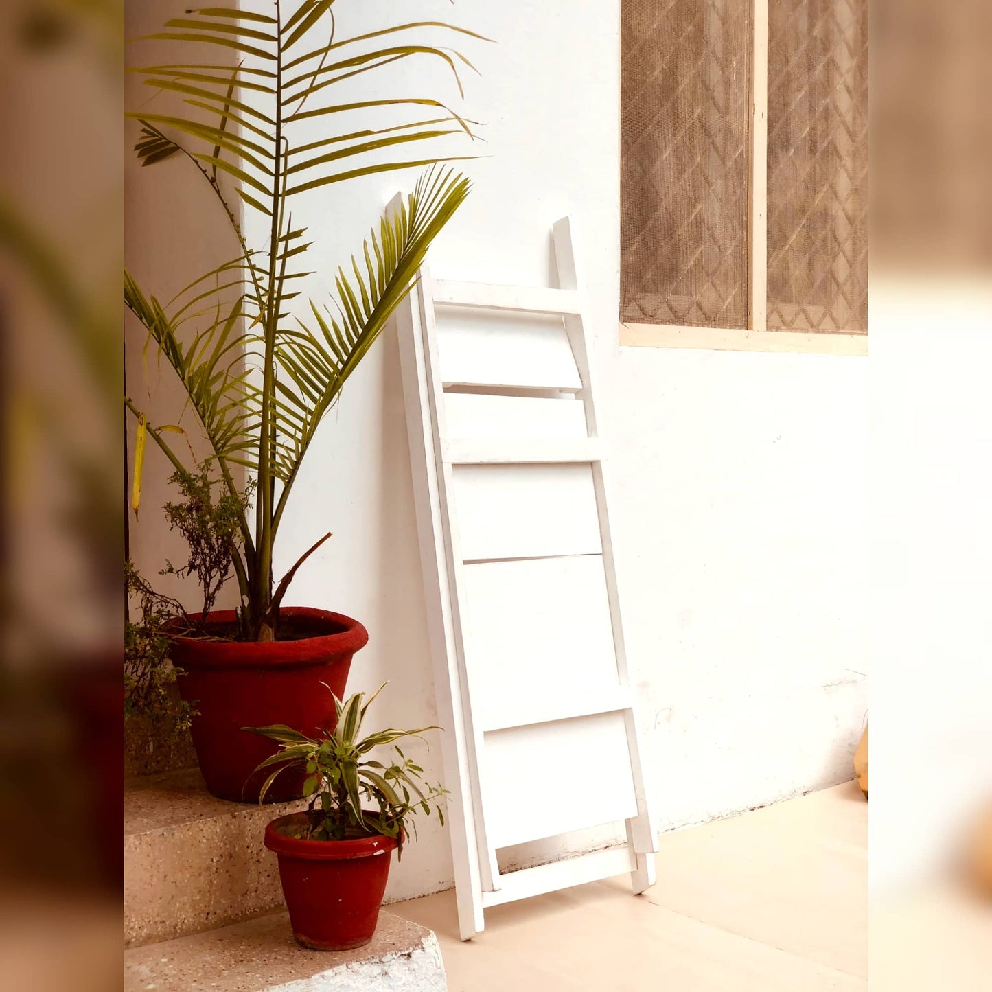 Folding Wooden Rack | Organizer | Corner Dusky Lory