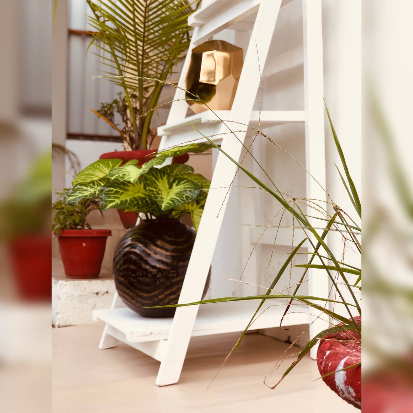 Folding Wooden Rack | Organizer | Corner Dusky Lory