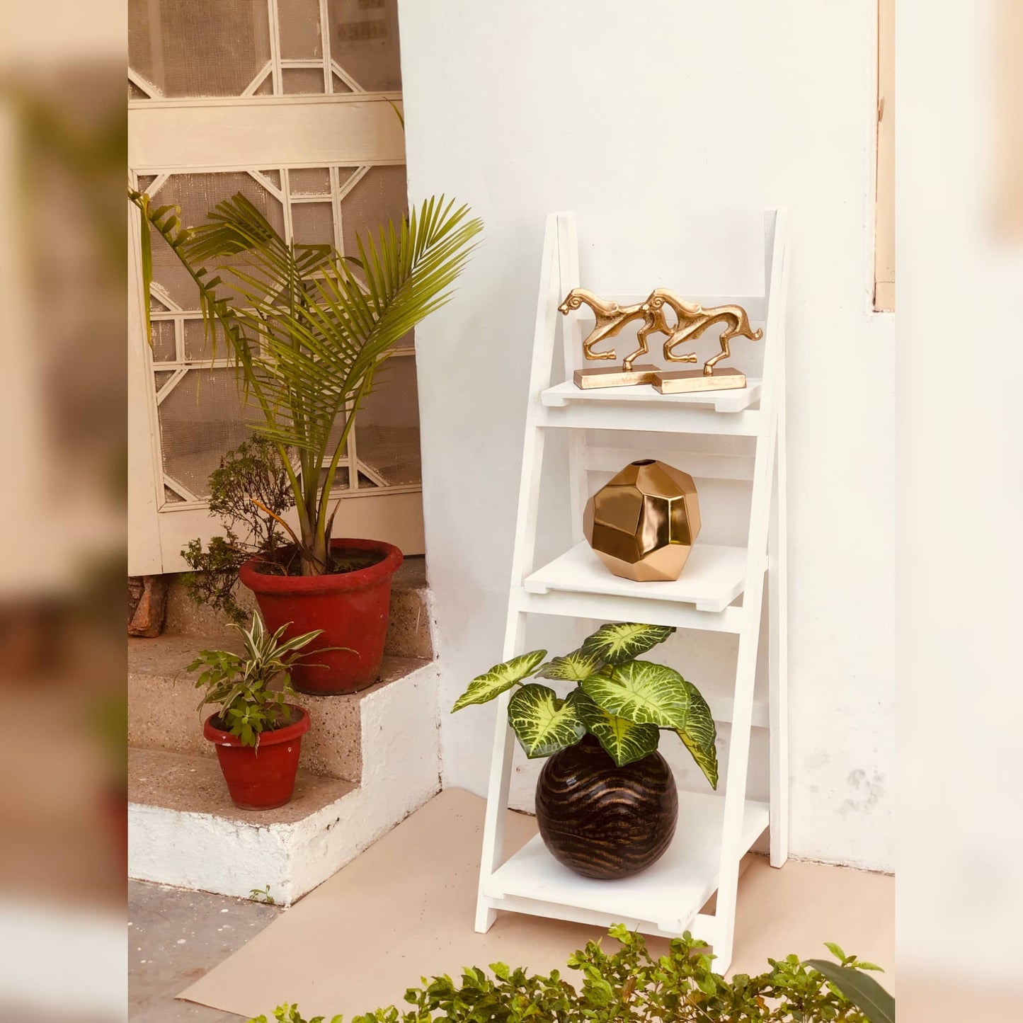 Folding Wooden Rack | Organizer | Corner Dusky Lory