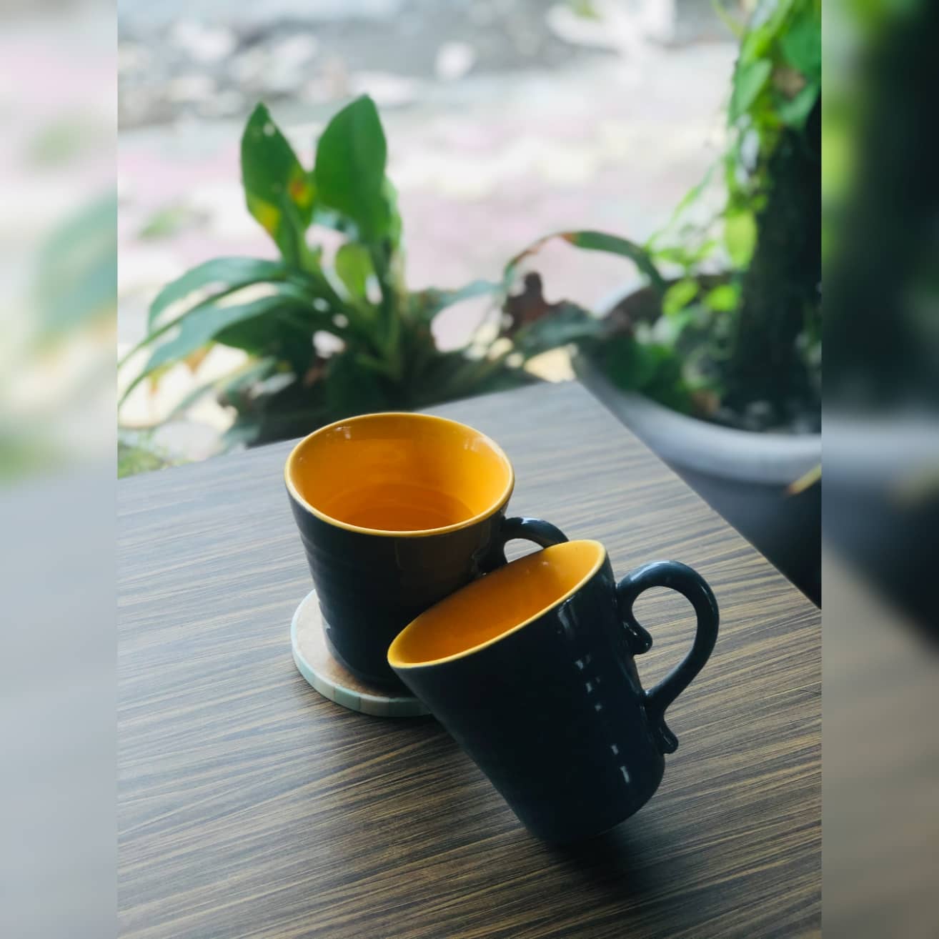 Set of 2 Mug | Yellow and Grey Dusky Lory
