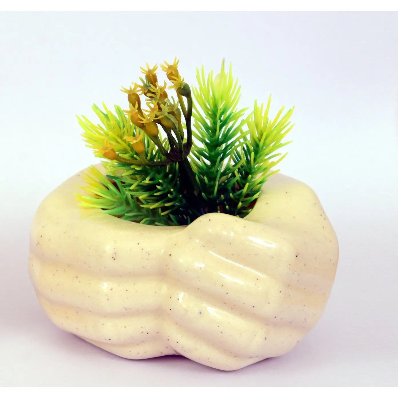 Plant Holder | Love That Starts A Life Together | SET OF 2 Dusky Lory
