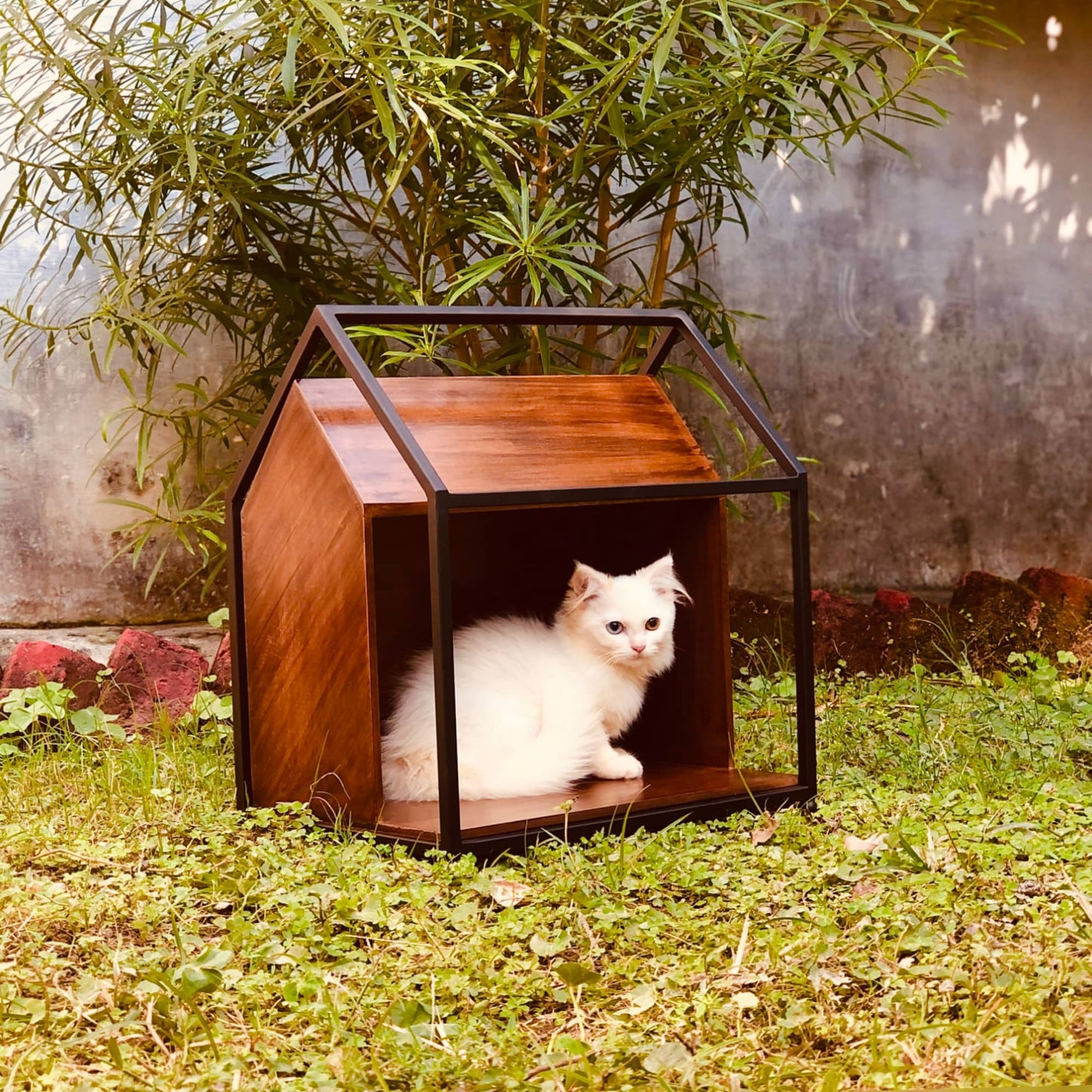 Cat House | Pet House | 16inch X 18inch Dusky Lory