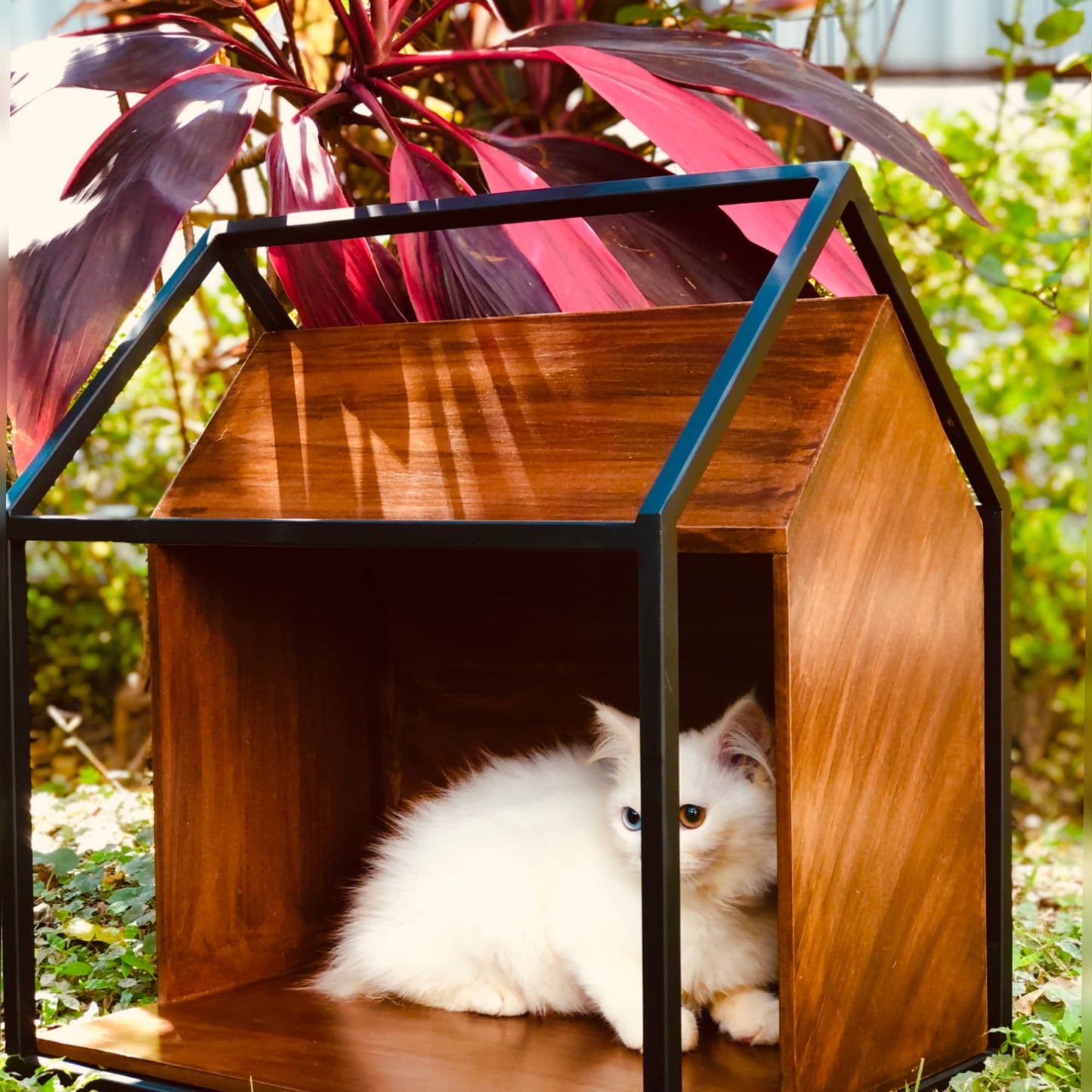 Cat House | Pet House | 16inch X 18inch Dusky Lory