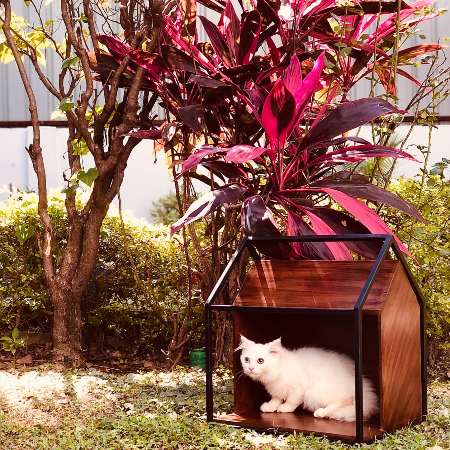 Cat House | Pet House | 16inch X 18inch Dusky Lory