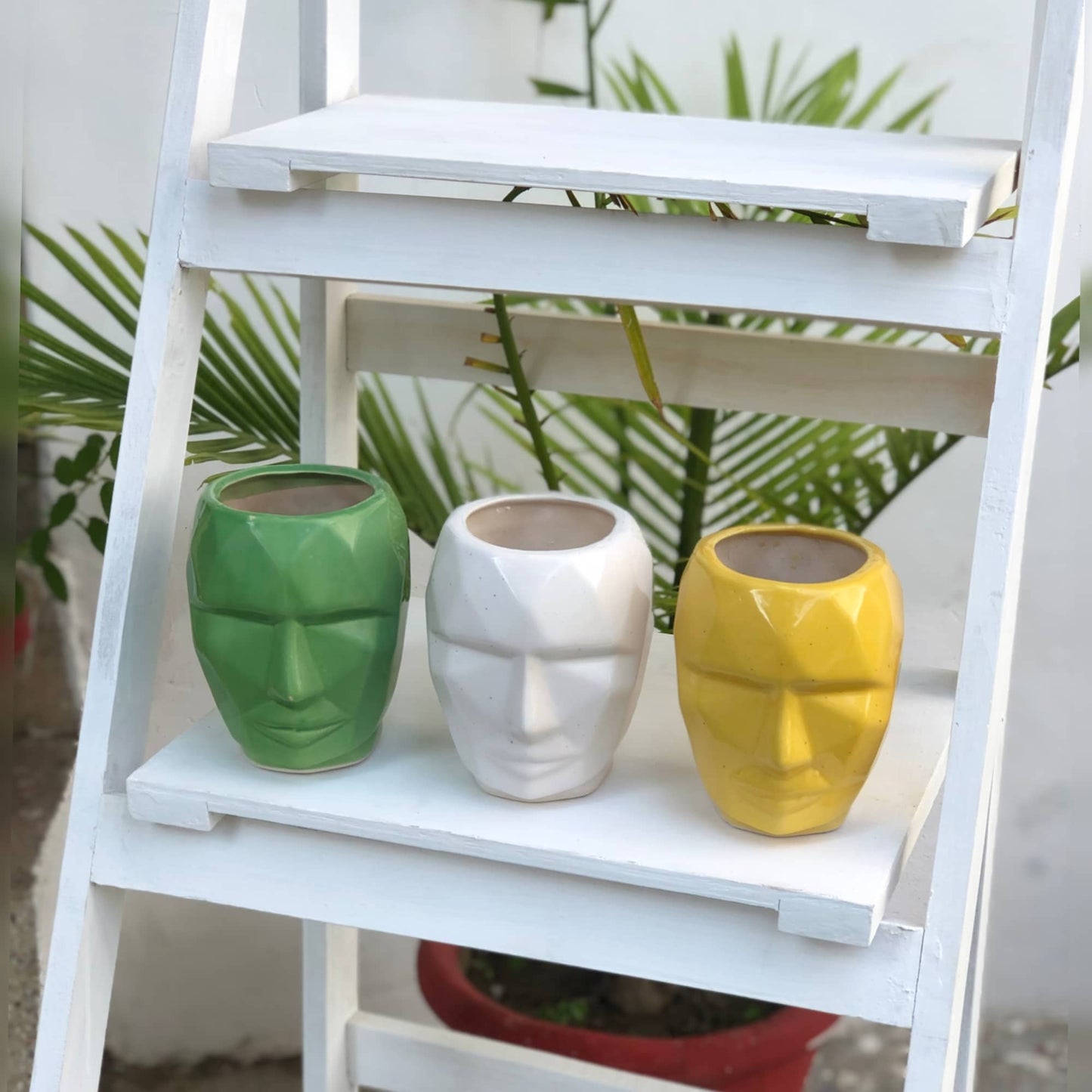 3D Face Planter | Table Planter | 14CM X 11CM Dusky Lory