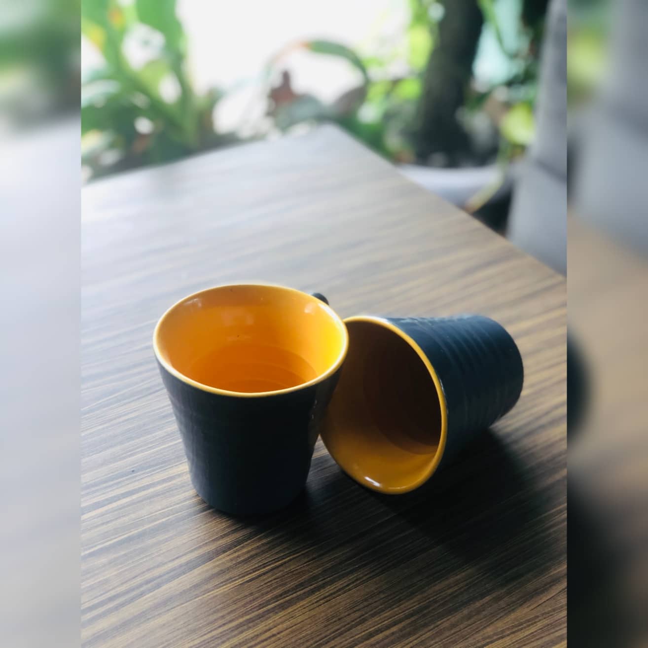 Set of 2 Mug | Yellow and Grey Dusky Lory